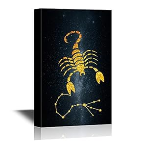 Constellati Scorpio Premium