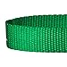 Blueberry Pet 6 Colors Better Basic Dog Collar, Light Emerald Green, Small, Neck 12