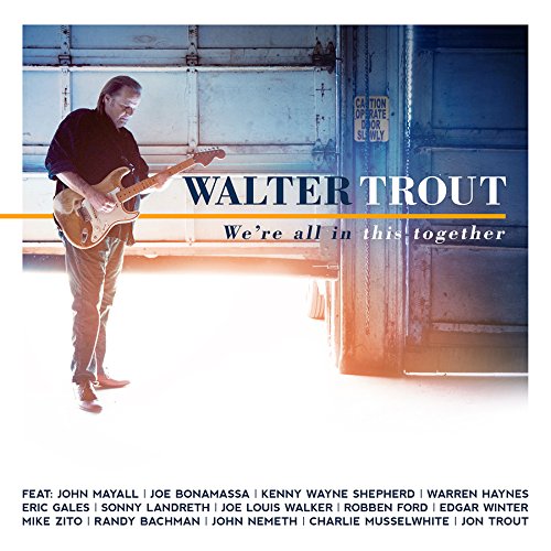 Album Art for We're All In This Together by Walter Trout