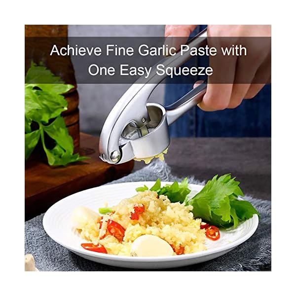 Garlic Press, Garlic Crusher Press to Press Clove and Smash Ginger Handheld Zinc Alloy Rust-Proof Tool for Kitchen