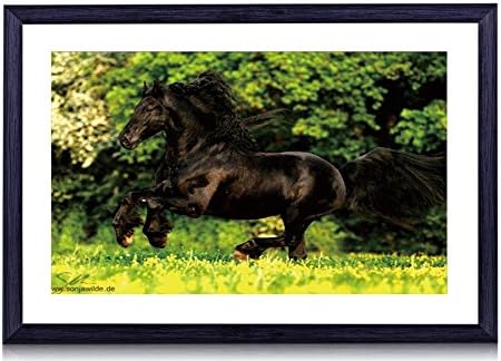 Amazon フリージアン ホース ランニング アート プリント ブラック ウッド フレーム ウォール アート 写真 ホーム デコレーション 60 96cm X 40 64cm 60cmx40cm 額装 アートフレーム ポスター オンライン通販