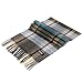 Saferin Women Men Cashmere & Lambwool Plaid Soft & Warm Scarf with Gift Box