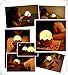 Tecboss Chicken Night Light for Kids, Rechargeable Baby Night Light with Safe ABS+Silicone, Nursery Bedside Lamp,Warm White Color and Adjustable Brightness, Touch Control, 300 hours Runtime