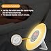 Wake Up Light, Alarm Clock, CoCoMoon Sunrise Simulation with Night Light, Atmosphere Lamp, FM Radio, Bedside Lamp，Nature Sounds Wake Up Light Colored Sunrise with Smart Snooze Function