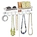 InterDesign Classico Wall Mount Closet Organizer - Storage Rack with Shelf for Ties, Belts or Wallets, Chrome