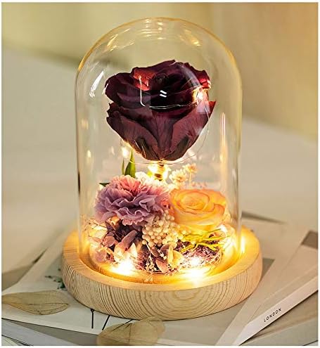 美女と野獣バラキット 誕生日の結婚式バレンタインデーのギフト用ガラスドームレッドローズとledライト Color Purple