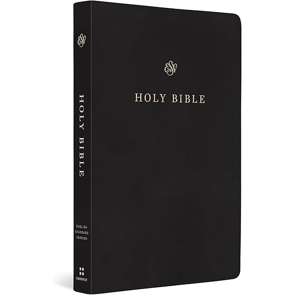 洋書 The HOLY BIBLE English standard version The Holy Bible: English Standard Version: Bible English