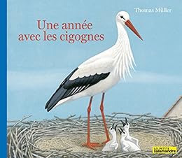 Une  année avec les cigognes