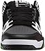 DC Men's Stag 2 JM Skate Shoe