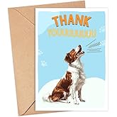 GreenStar Gifts Brittany Dog Card, Dog Thank You Card, Cute Pun Thank You Card For Him Her, For Friends, Teacher, Boss, Coworker, Dog Lover Gift, Veterinarian Thank You Gift, Brittany Dog Lover
