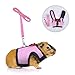 Small Animals Harness and Leash Adjustable Soft Mesh Small Pet Harness with Safe Bell, No Pull Comfort Padded Vest Durable Nylon Harness All Season for Rats,Guinea Pig and Hamster