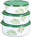 Corelle Coordinates by Reston Lloyd 6-Piece Enamel on Steel Bowl/Storage Set, Bamboo Leaf