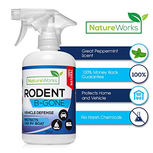 Top 10 Squirrel Repellents of 2019 - TopTenReview