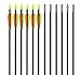 GPP 28-inches Fiberglass Archery Target Arrows - Practice Arrow or Youth Arrow for Recurve Bow