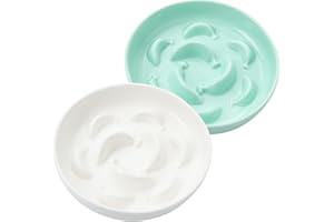 PTOBER Cat Slow Feeder Bowl Set - 2-Pack Ceramic Cat Dishes for Slow Eating - Whisker-Friendly Cute Maze Bowls for Dry & Wet Food - Microwave & Dishwasher Safe - White and Green