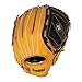 Franklin Sports Field Master Series Baseball Glove