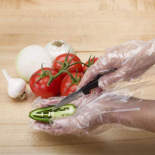 Clean Ones 1000Count Disposable FoodSafe Poly Gloves, One Size