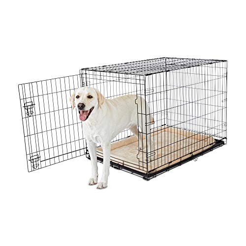 petbarn soft dog crates
