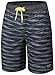 Tesla TM-MSB02-DGY_Large Men's Swim Trunks Quick Dry Water Beach MSB02