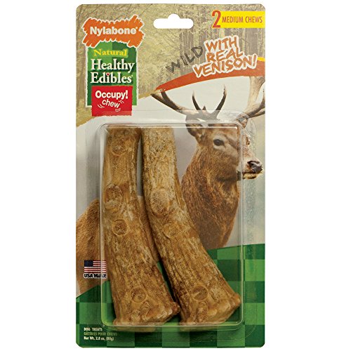 Nylabone Healthy Edibles Wild Flavors Dog Chew Treat Bones for Medium