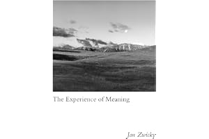 The Experience of Meaning