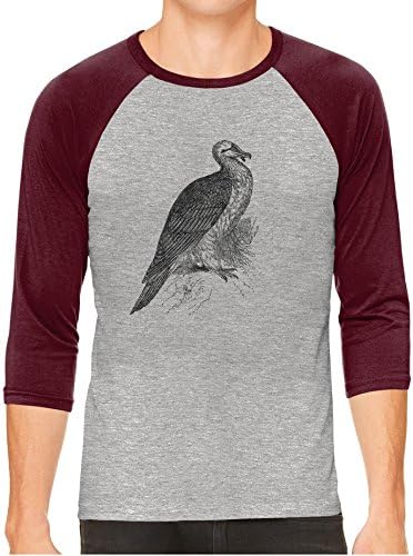 Austin Ink Apparel Unisex Mens Wild Bearded Vulture Bird 3/4 Sleeve Grey Baseball T-Shirt, Maroon Sleeves, XS