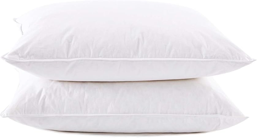 Amazon Com Puredown Premium White Goose Feather And Down Pillow