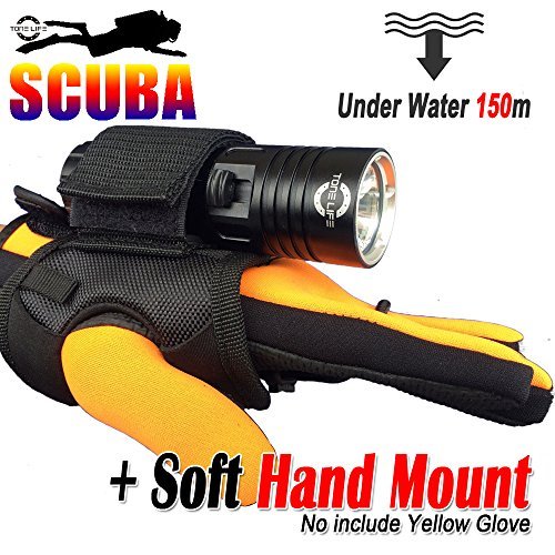 Top 10 Underwater Torches of 2020 No Place Called Home