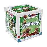 Green Board Games BrainBox