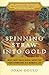 Spinning Straw into Gold: What Fairy Tales Reveal About the Transformations in a Woman's Life by Joan Gould