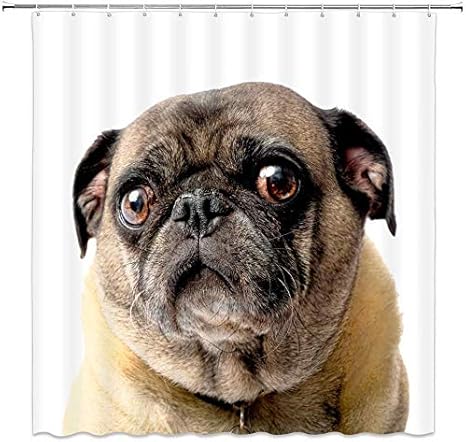 Amazon Qdylm 犬シャワーカーテンパグ面白いペット動物シンプルな白い浴室のカーテン装飾ポリエステル生地防水71 X 71インチポリエステル12プラスチックフックが含まれています シャワーカーテン ホーム キッチン オンライン通販 Amazon Qdylm 犬シャワーカーテンパグ面白いペット動物シンプルな白い浴室のカーテン装飾ポリエステル生地防水71 X 71インチポリエステル12プラスチックフックが含まれています シャワーカーテン ホーム キッチン オンライン通販