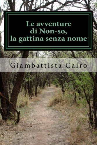 Le Avventure Di Non So La Gattina Senza Nome Italian Edition Cairo Giambattista Amazon Com Books