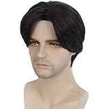 Stfantasy Mens Wig Short Straight Middle Part Synthetic Hair For