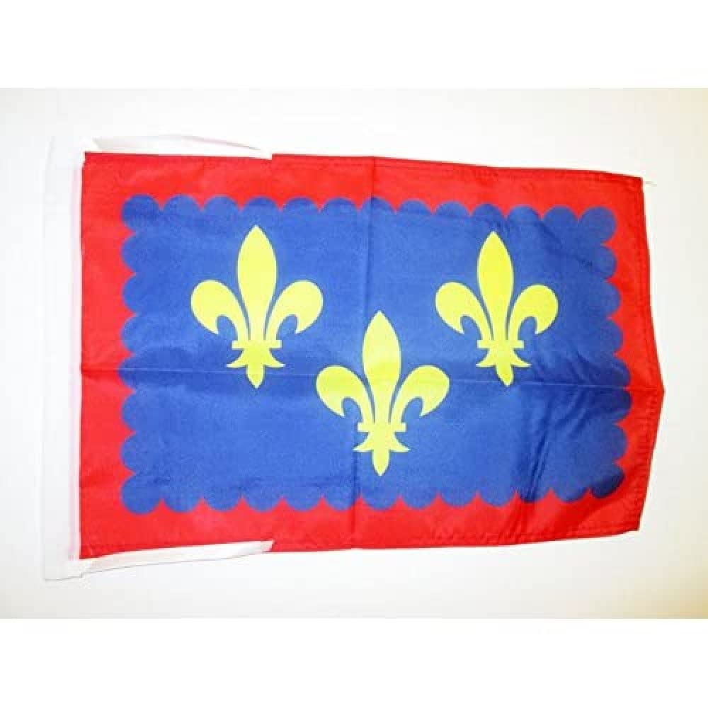 AZ FLAG - French Province of Berry Flag - 18'' x 12'' - 100% Polyester France province Small Banner with Two Cords - Fade Resistant - Vivid Colors - 18x12 in - 45x30 Cm