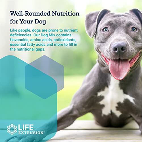Life Extension Dog Mix Daily Nutrition Care Supplement Powder for Your Canine Pet Advanced