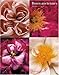 Roses anciennes & botaniques by 