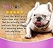 Halo Freeze Dried Dog Treats, Turkey Recipe, Dog Treats Pouch, All Life Stages, 2.5-OZ Pouch