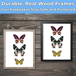 Super-Sturdy, Real Wood 8x8 Shadow Box Frame