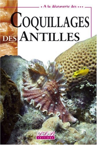 Coquillages des Antilles