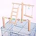 Bird Cage Stand Play Gym, Green Cheek Conure Perch Playground, Wood Parrot Climbing Ladder Chewing Chain Swing for Lovebirds Budgies Finches Parakeets, Activity Center,Birdcage Training Accessoriesthumb 3