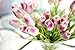 smylls 10 pcs Holland Tulips Flowers Latex-Look Like Real,Eco-Friendly Odourless Artificial Flowers Christmas Party Decoration Gift Package(10, Purple)