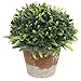 MyGift Decorative Green Plastic Indoor Artificial Grass Plant w/Rustic Brown Ceramic Planter