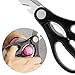 Premium Kitchen Shears, Ultra Sharp Heavy Duty Stainless Steel Kitchen Scissors