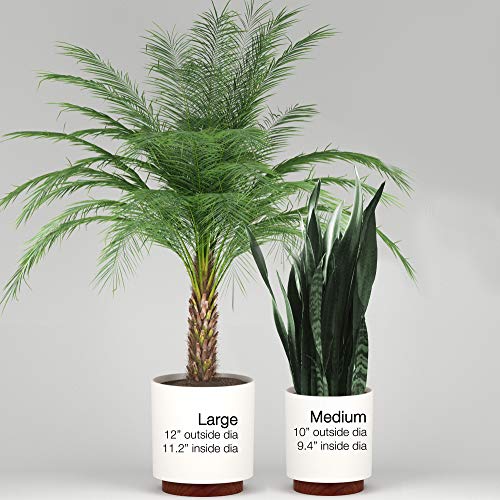 Fox & Fern New 10" Plant Pot with Walnut Wood Base - Perfectly Fits Plant Stand - Drainage Plug - Outdoor Indoor - Soft Black - Thumbnail 5