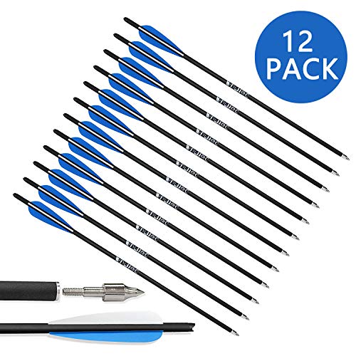 WDLHQC Arrows Archery Practice Hunting Arrows with Removable Tips(12Pcs/Pack) (Blue, 21)