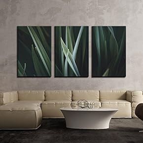 3 Piece Canvas Wall Art - Closeup of Leaves at Dark - Modern Home Art Stretched and Framed Ready to Hang - 16"x24"x3 Panels