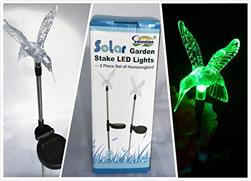 Stunning Acrylic Solar Hummingbird light stake (Box of 2)
