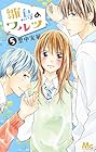 雛鳥のワルツ 第5巻