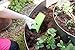 Multipurpose Garden Hand Trowel Reinvented The Ergonomic Pain-Free Shovel Perfect for Gardeners with Rheumatoid Arthritis Perfect Gardening Gift (Green)