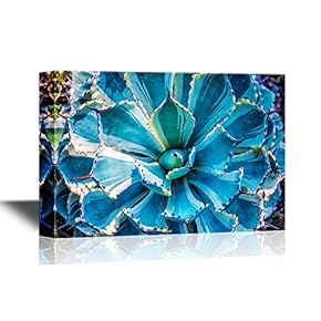 Floral Canvas Wall Art - Sharp Pointed Agave Plant Leaves - Gallery Wrap Modern Home Art | Ready to Hang - 12x18 inches